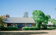 Tranquil Vale Vineyard - thumb 2