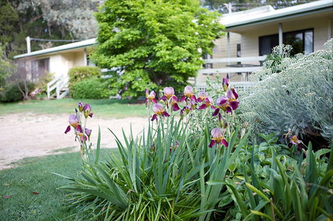 Annies Holiday Units - Kalgoorlie Accommodation 2