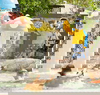 Ashmore Palms Holiday Village - Kalgoorlie Accommodation