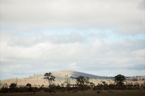 Aurelias Farm Bed And Breakfast - Kalgoorlie Accommodation 1
