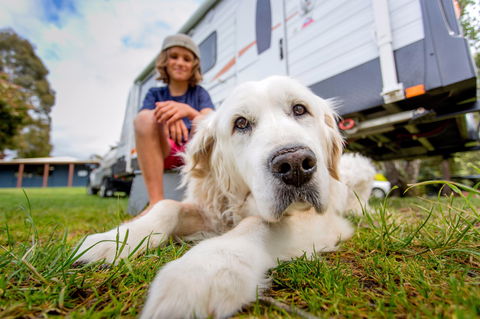 BIG4 St Helens Holiday Park - Kalgoorlie Accommodation 2