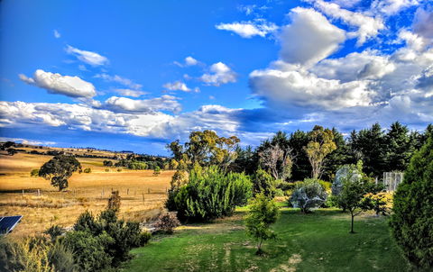 Dairy Park Farm Stay Bed And Breakfast - Kalgoorlie Accommodation 1