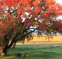 Little Kickabell Country Homestead - Kalgoorlie Accommodation