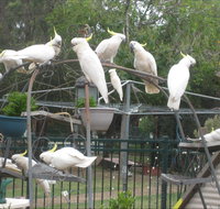 Winnamatta Guest House - Kalgoorlie Accommodation