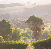 Mackas Farm - Kalgoorlie Accommodation