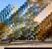 Omeo Caravan Park - Kalgoorlie Accommodation