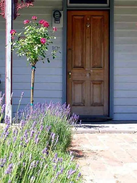 Airleigh - Rose Cottage - Kalgoorlie Accommodation 2
