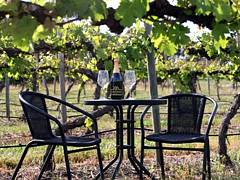 De Vine Escape - Kalgoorlie Accommodation 2