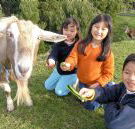 Johanna River Farm and Cottages - Kalgoorlie Accommodation
