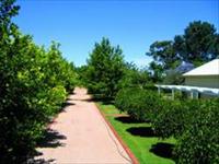 Creaton Cottage - Kalgoorlie Accommodation 5