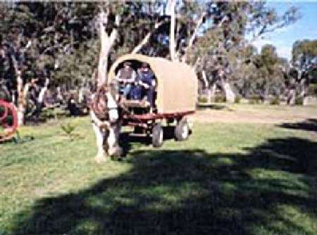 Riverside Host Farm - Kalgoorlie Accommodation 3