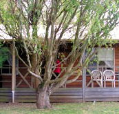 BIG4 Ballarat Windmill Holiday Park - Kalgoorlie Accommodation