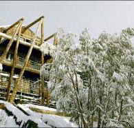 Silverski - Kalgoorlie Accommodation