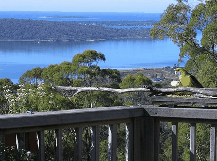 Bed In The Treetops - Kalgoorlie Accommodation 0