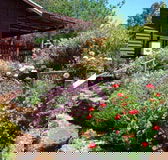 Chestnut Brook Cottage - Kalgoorlie Accommodation