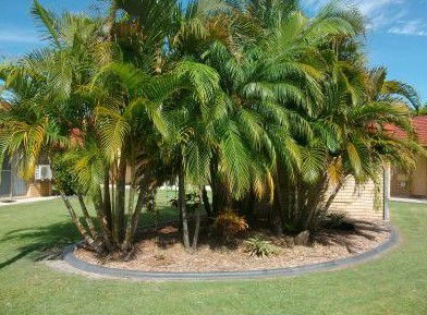 Yamba Motor Inn - Kalgoorlie Accommodation 5
