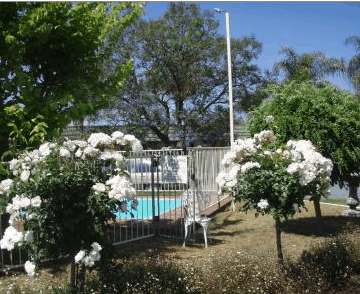 Aromet Motor Inn - Kalgoorlie Accommodation 5