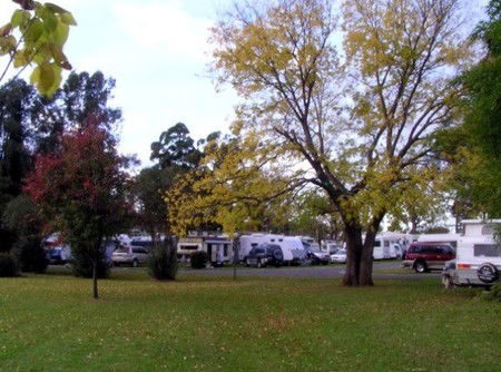 Poplar Tourist Park - Kalgoorlie Accommodation 2
