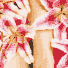 Affinity Day Spa - Kalgoorlie Accommodation 1