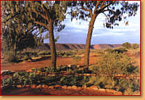 Kings Creek Station - Kalgoorlie Accommodation 1