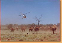 Kings Creek Station - Kalgoorlie Accommodation 2