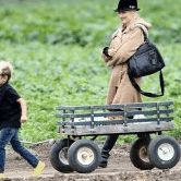 Perth City Farm Organic Markets - Kalgoorlie Accommodation