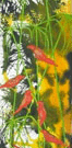 Jahroc Mill Gallery - Kalgoorlie Accommodation 3