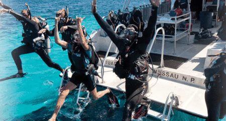 Snorkel Safari Brisbane - Kalgoorlie Accommodation