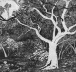 Tacit Contemporary Art - Kalgoorlie Accommodation
