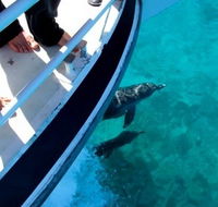 Pelican Charters - Kalgoorlie Accommodation