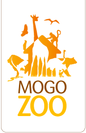 Mogo Zoo - Kalgoorlie Accommodation 0