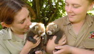 Mogo Zoo - Kalgoorlie Accommodation 3