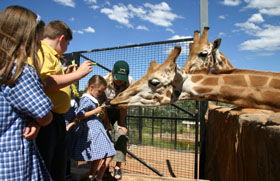 National Zoo & Aquarium - Kalgoorlie Accommodation 2