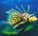 Underwater World - Kalgoorlie Accommodation