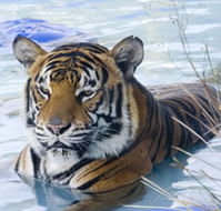 Zoo Doo Wildlife Park - Kalgoorlie Accommodation