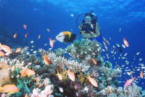 Drop Zone Dive Site - Kalgoorlie Accommodation 0
