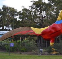 Gumbuya Park - Kalgoorlie Accommodation