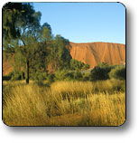 Atitjere NT Kalgoorlie Accommodation