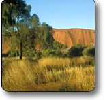 Uluru - Kata Tjuta National Park - Kalgoorlie Accommodation