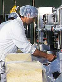 Allansford Cheese World - Kalgoorlie Accommodation 1