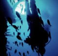 Scuba World - Kalgoorlie Accommodation