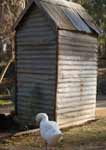 Wagga Wagga Zoo - Kalgoorlie Accommodation 2