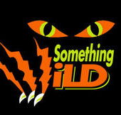 Something Wild - Kalgoorlie Accommodation