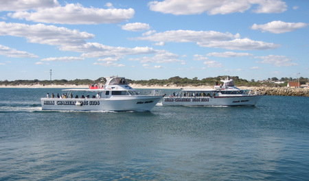 Mills Charters Fishing And Whale Watch Cruises - Kalgoorlie Accommodation 2