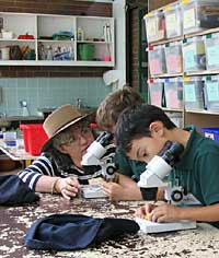 Australian National Botanic Gardens - Kalgoorlie Accommodation 2