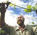 Barossa Experience Tours - Kalgoorlie Accommodation