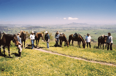 Watsons Trail Rides - Kalgoorlie Accommodation 1