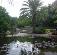 Brisbane City Botanic Gardens - Kalgoorlie Accommodation