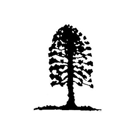 Musgrave Park Cultural Centre - Kalgoorlie Accommodation 2