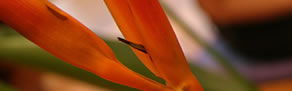 Zen Day Spa - Kalgoorlie Accommodation 0